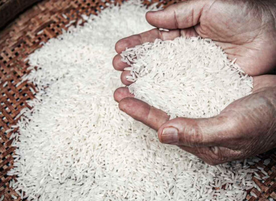 Combate à Fome: O Impacto das Cestas Básicas nas Comunidades